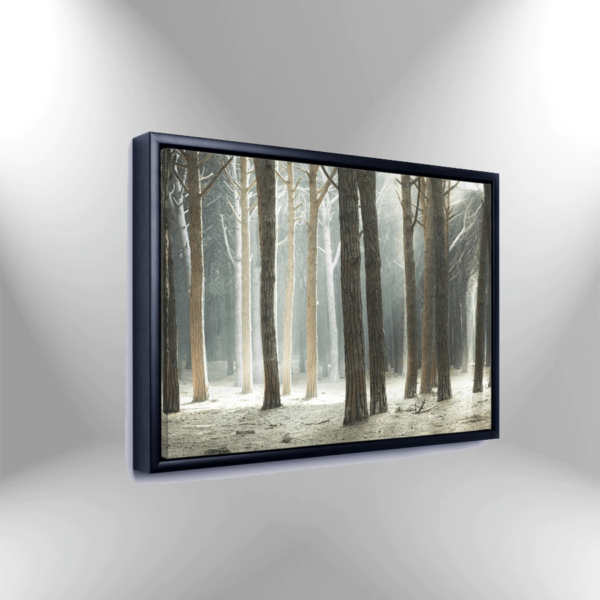 Framed_Canvas